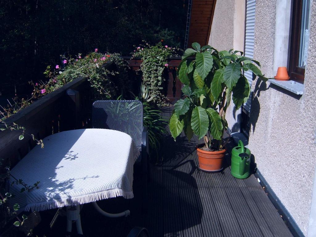 Ferienwohnung Guerth Kleinhennersdorf Экстерьер фото